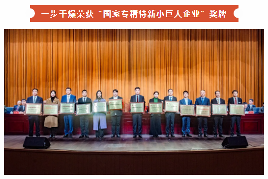 回首南宫NG282024年度“高光”时刻，每一步都值得！